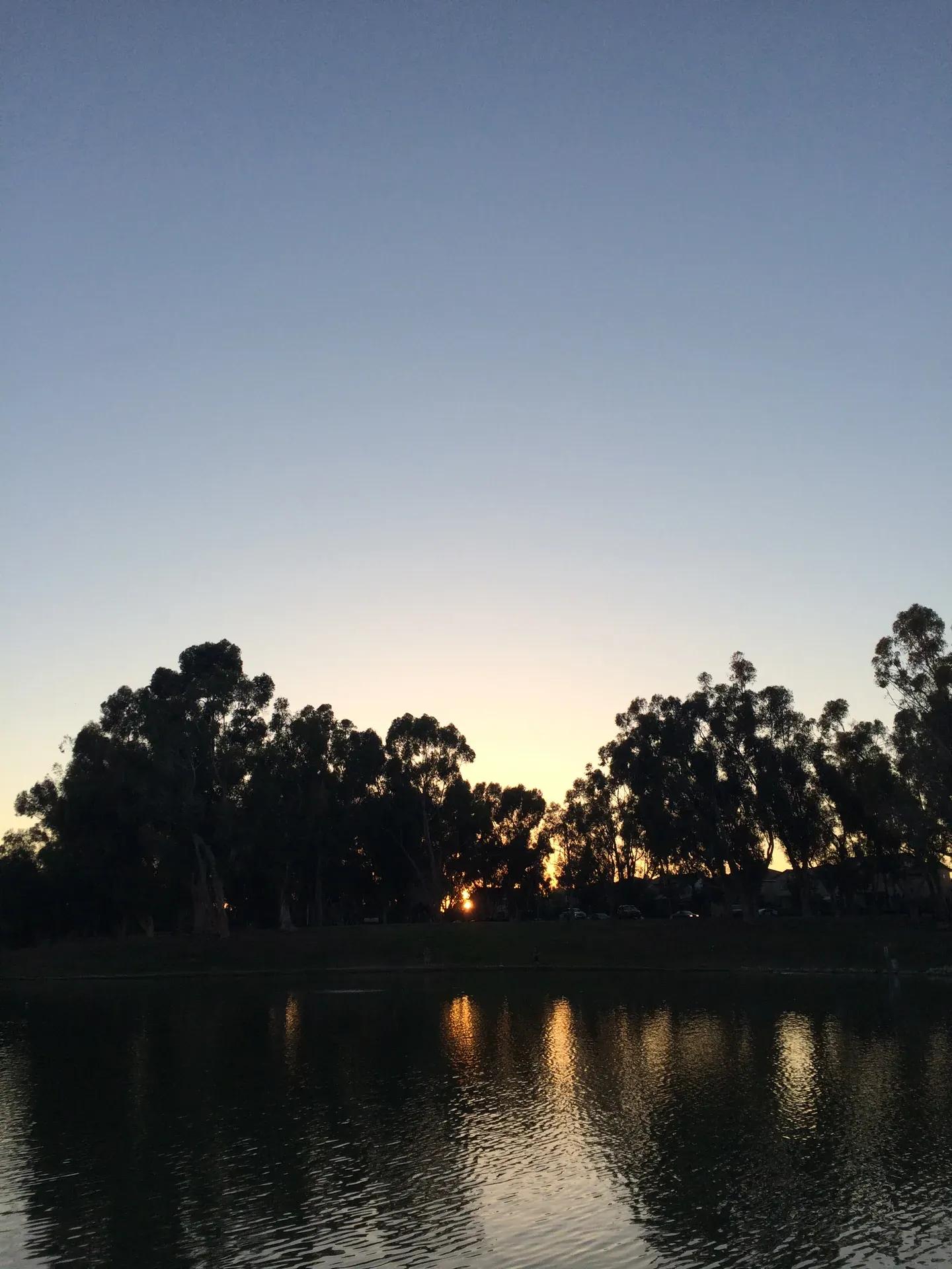 Placentia lake / shoreline