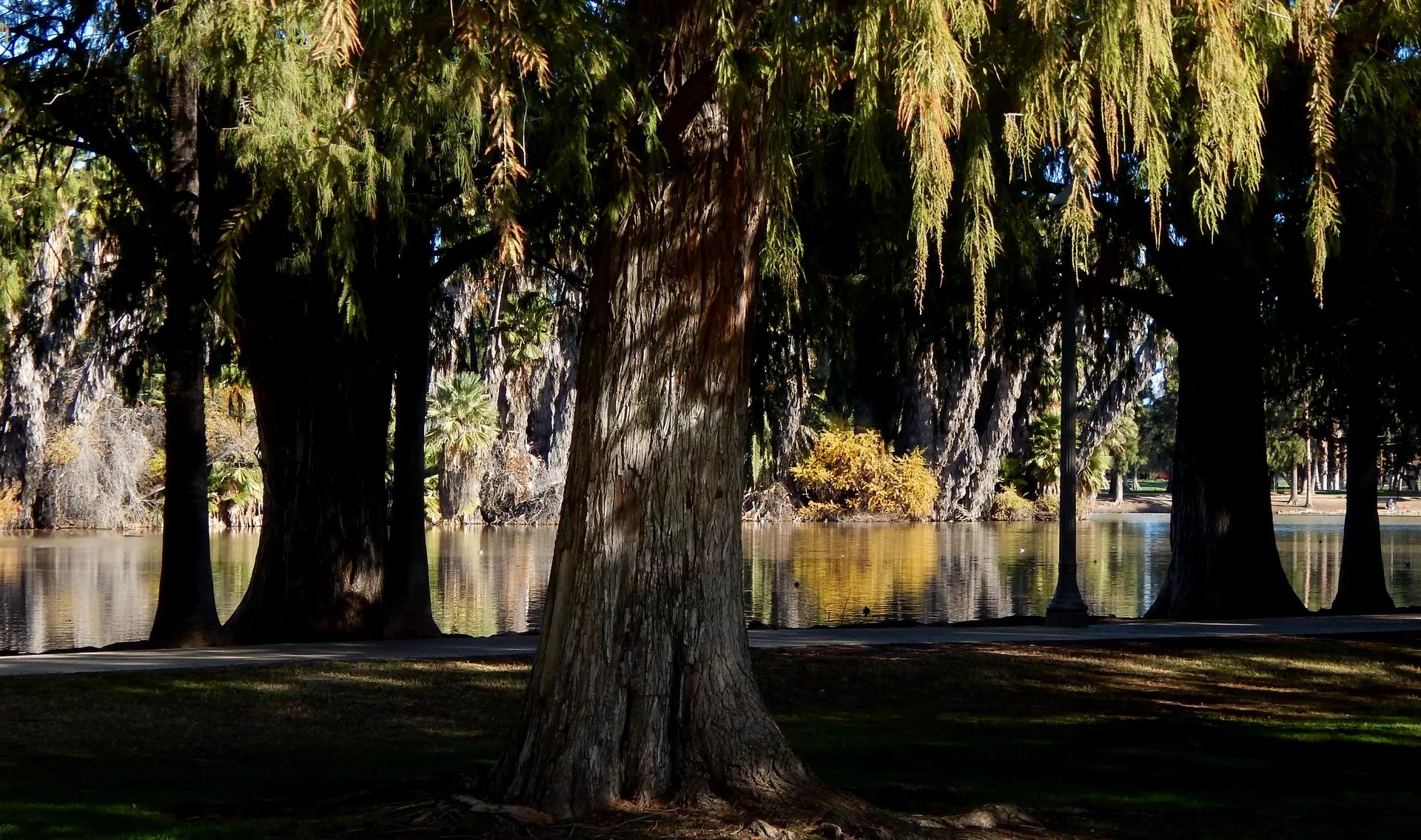 Riverside lake / shoreline